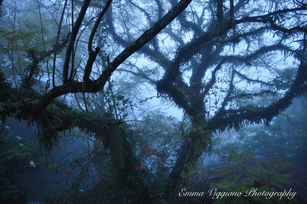 WhatsApp Image 2017-08-21 at 15.45.13 (1).jpeg