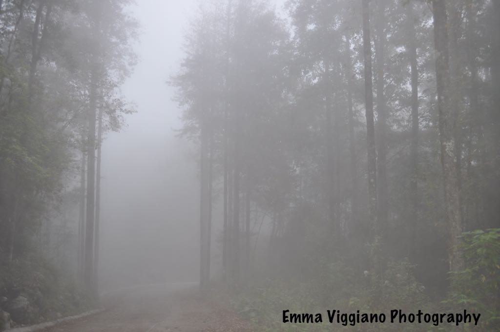 WhatsApp Image 2017-08-21 at 15.46.55.jpeg